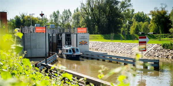 ilustrační obrázek