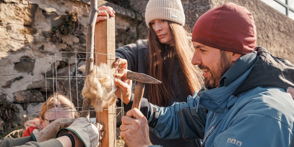 ilustrační obrázek