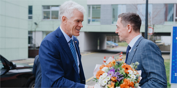 ilustrační obrázek