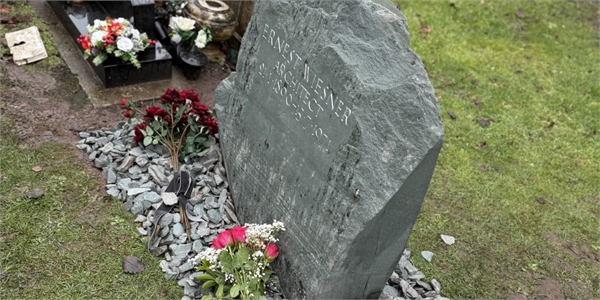 ilustrační obrázek