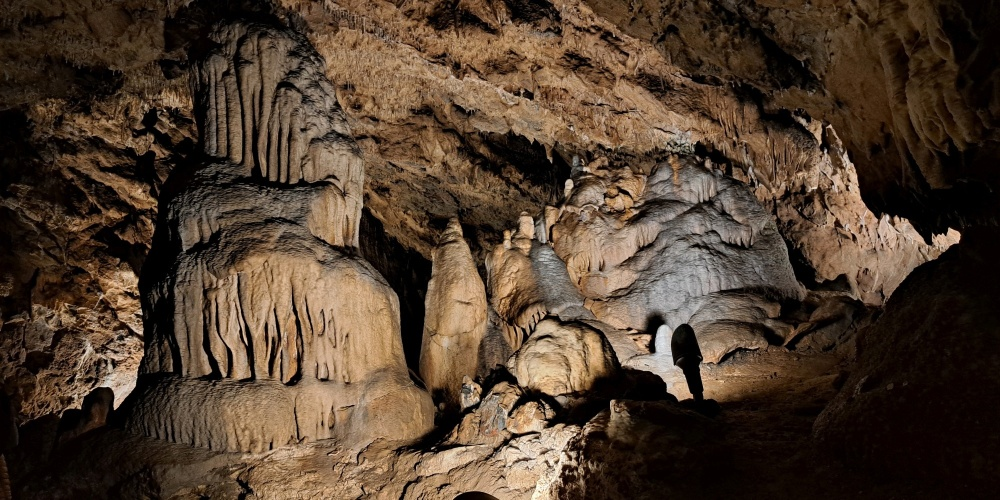 ilustrační obrázek