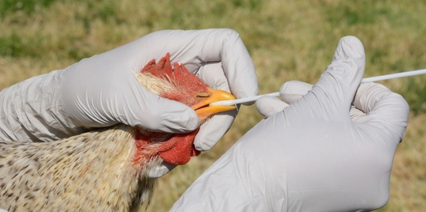 ilustrační obrázek