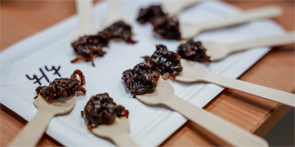 ilustrační obrázek