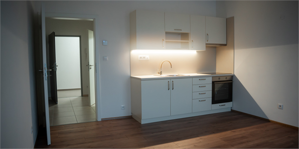 ilustrační obrázek